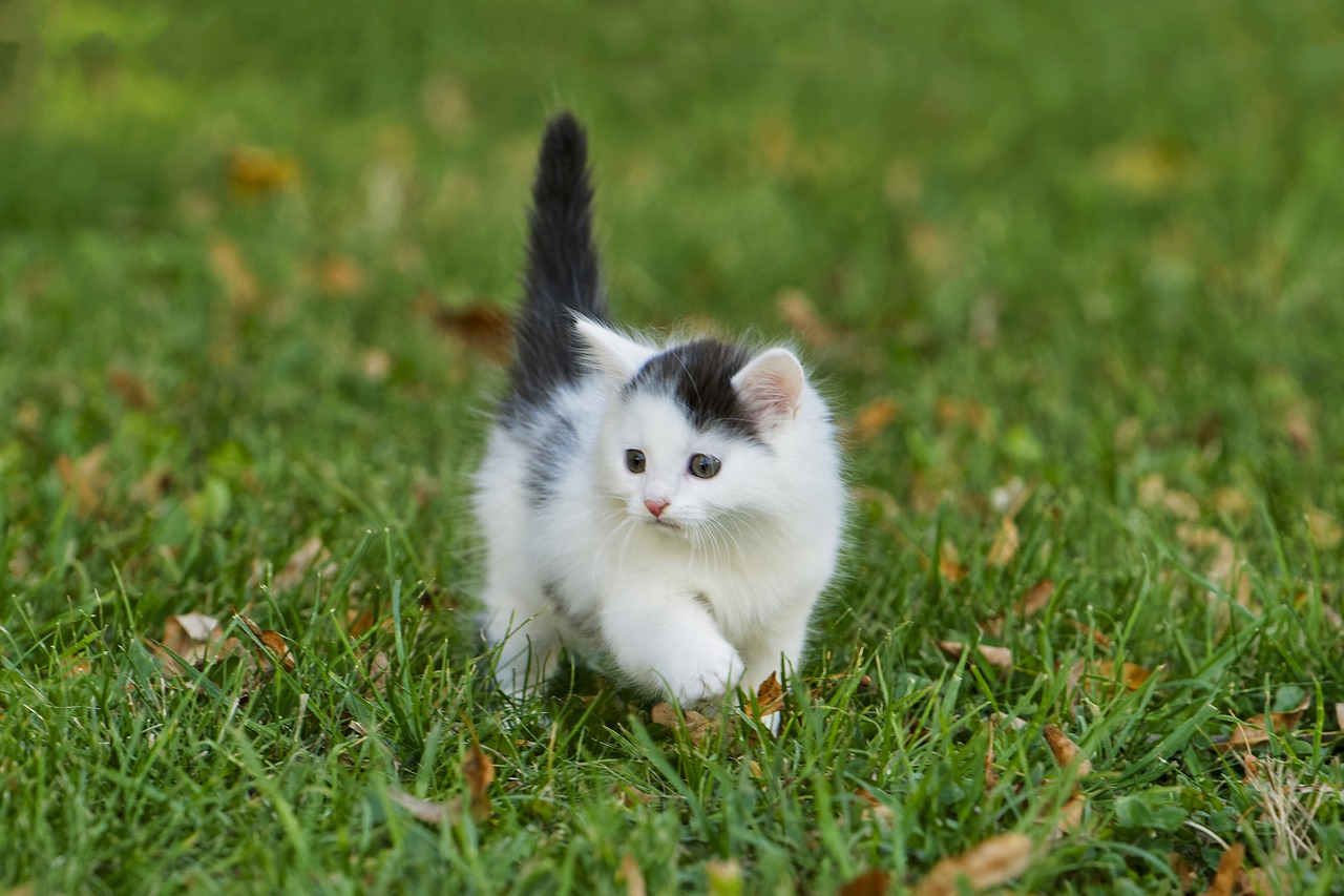 Každý chce žít tak, jak se mu chce. 